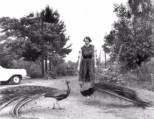 How did Flannery O’Connor’s writing reflect her disability?