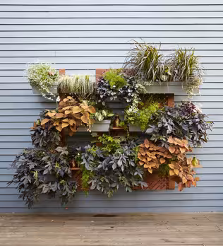 How to Build a Living Wall Garden