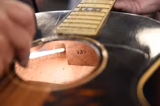 Understanding Rosewood Regulations