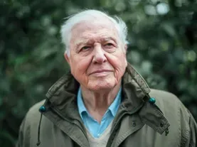 Blog | David Attenborough on How Our Changing Climate Affects Wildlife