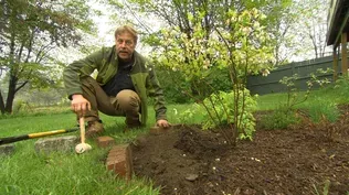 Ask Roger: Using Landscape Edging