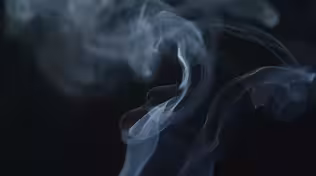 NOVA - The Cannabis Question