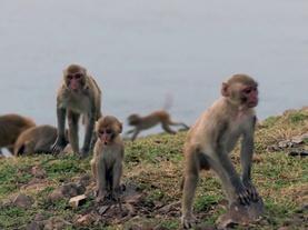 Why we divide ourselves into polarized groups