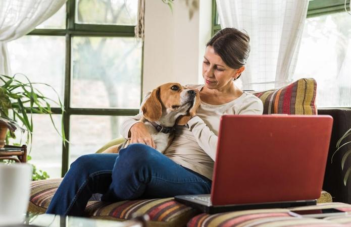 How to Find a Seasonal Side Hustle
