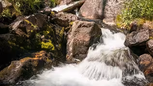 Idaho Headwaters | Outdoor Idaho Website