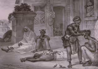 How African Indigenous knowledge helped shape modern medicine
