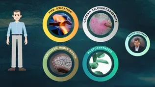 Beyond the Elements: Reactions Interactive