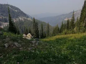 50 Years of Wilderness | Outdoor Idaho Website