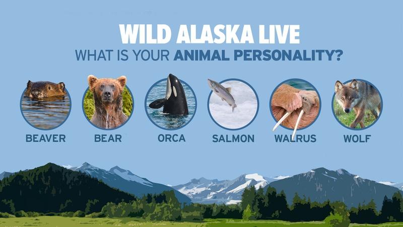 Home | Wild Alaska Live | PBS