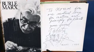 See More Works by Roberto Burle Marx