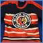 Chicago Black Hawks: What's in a Name?
