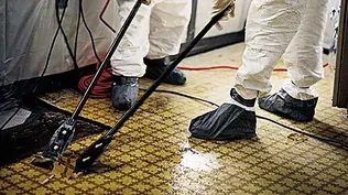Asbestos Floor Tiles: Safe to Remove?
