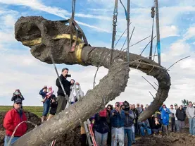 Mammoth Discovery Could Revise Earliest Date of Humans in the Americas