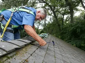 How to Clean and Prevent a Mossy Roof