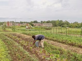 Thinking Outside the Big Box to Address Food Deserts