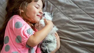 Kittens bond with their human caregivers like babies do