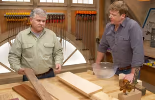 How to Identify Hardwoods and Softwoods