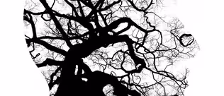 Rural Perspective on Mental Health Care in a Time of Crisis