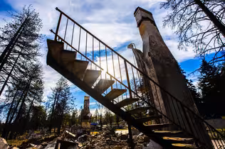 Paradise Rebuilds