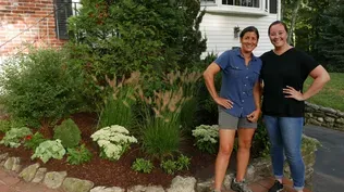 How to Plant Hardier Foundation Plantings