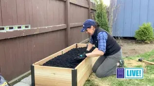 How to Build a Raised Garden Bed | This Old House: Live