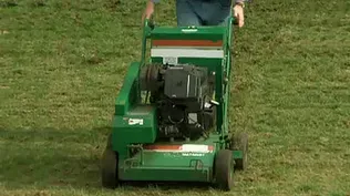 How to Reseed a Lawn