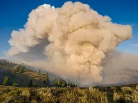 Living With Wildfire | Outdoor Idaho Website