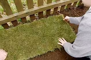 How to Lay Sod