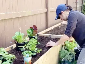 How to Build a Self-Watering Vegetable Garden