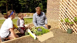 How to Install a Raised Vegetable Garden with Arbors