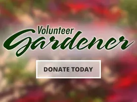 Support Volunteer Gardener