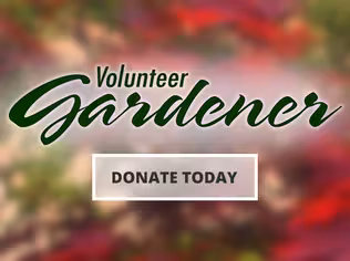 Support Volunteer Gardener