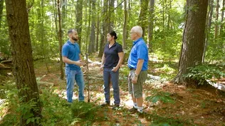 Understanding Wetlands